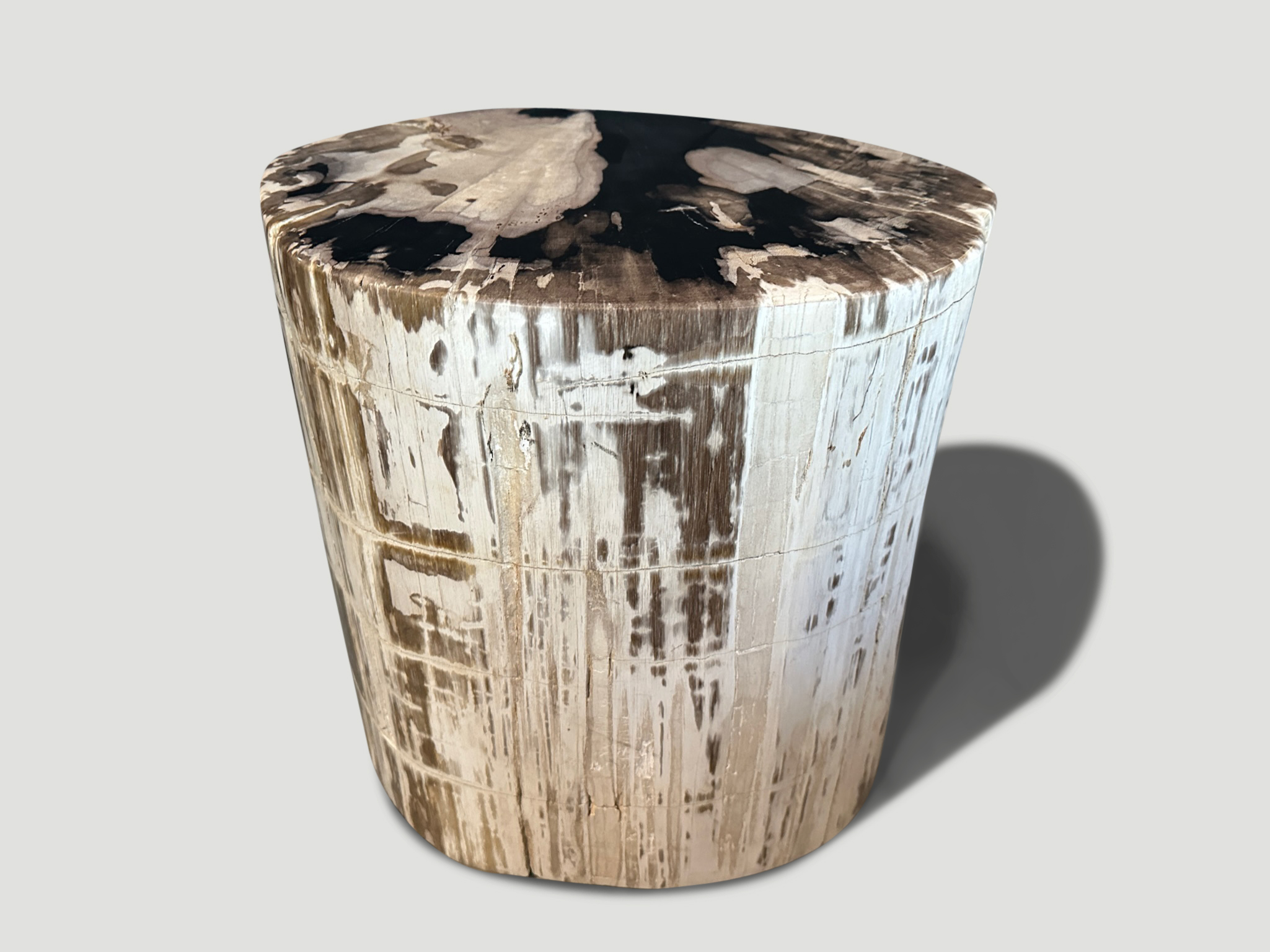 high quality petrified wood ancient side table