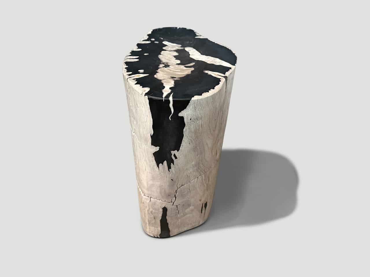 striking ancient petrified wood side table