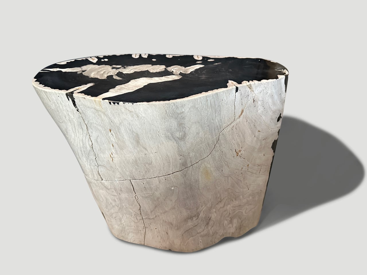 striking ancient petrified wood side table