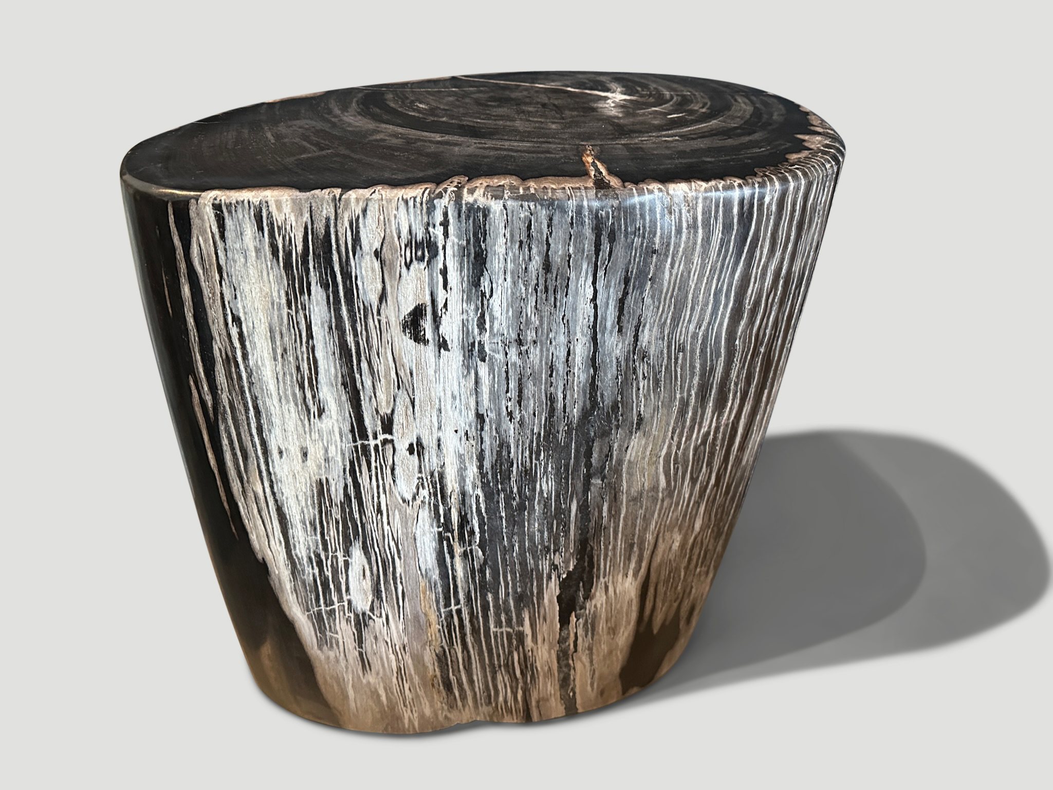 high quality ancient petrified wood side table