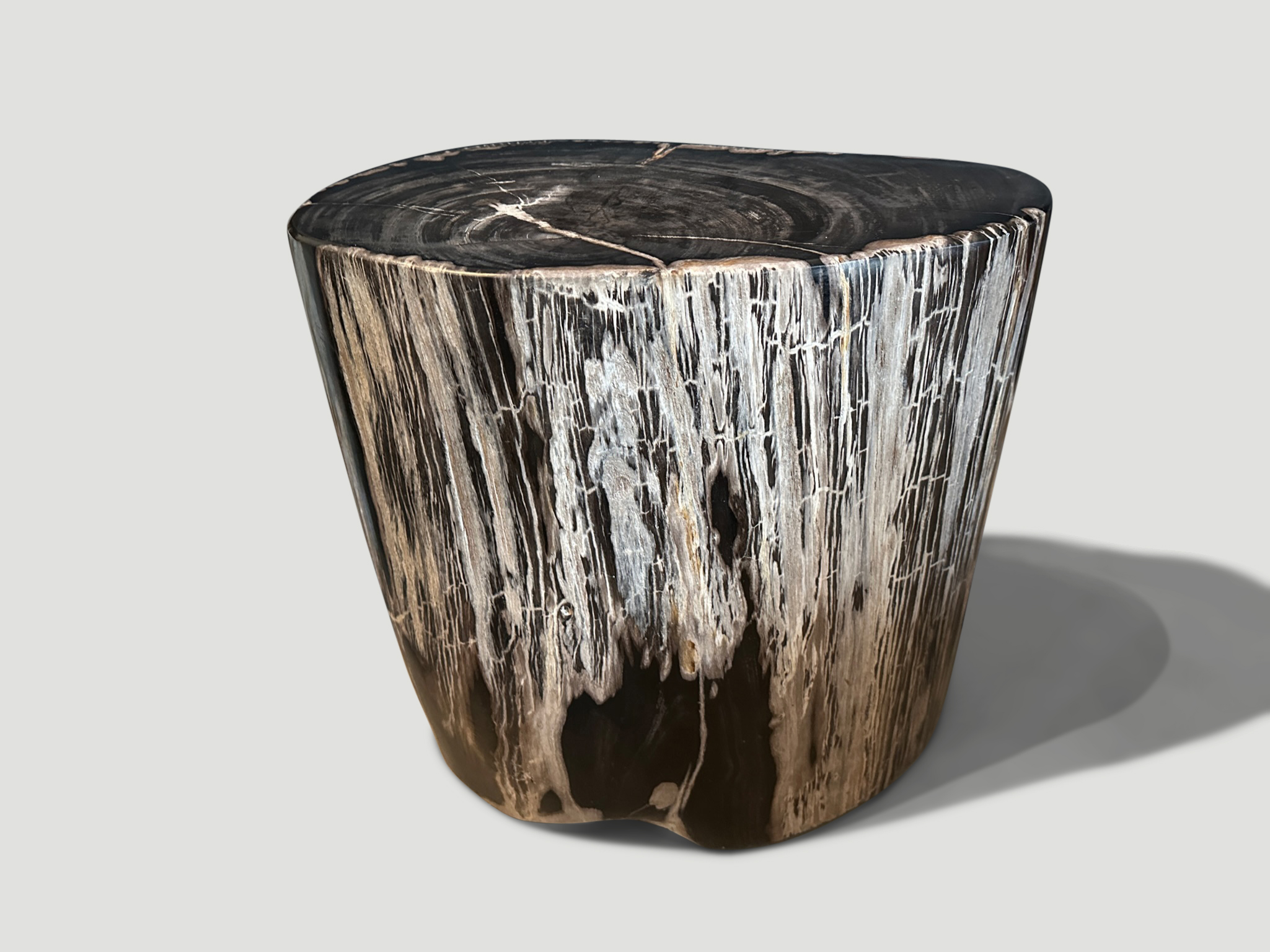 high quality ancient petrified wood side table
