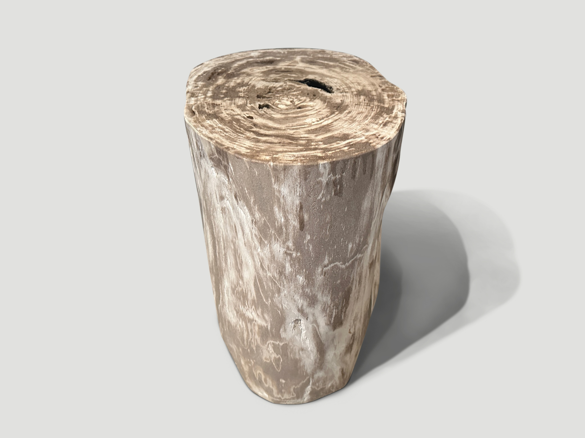 minimalist petrified wood side table