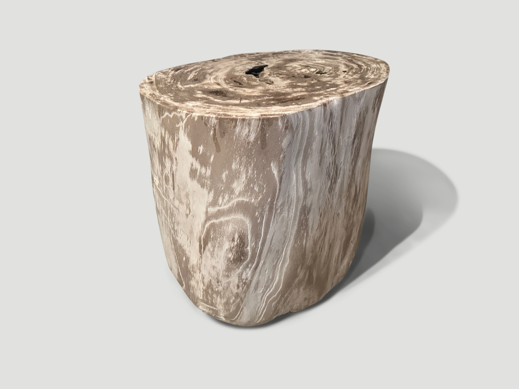 minimalist petrified wood side table