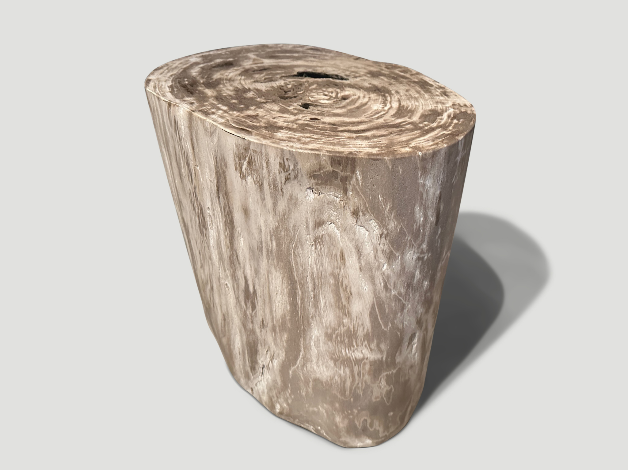 minimalist petrified wood side table