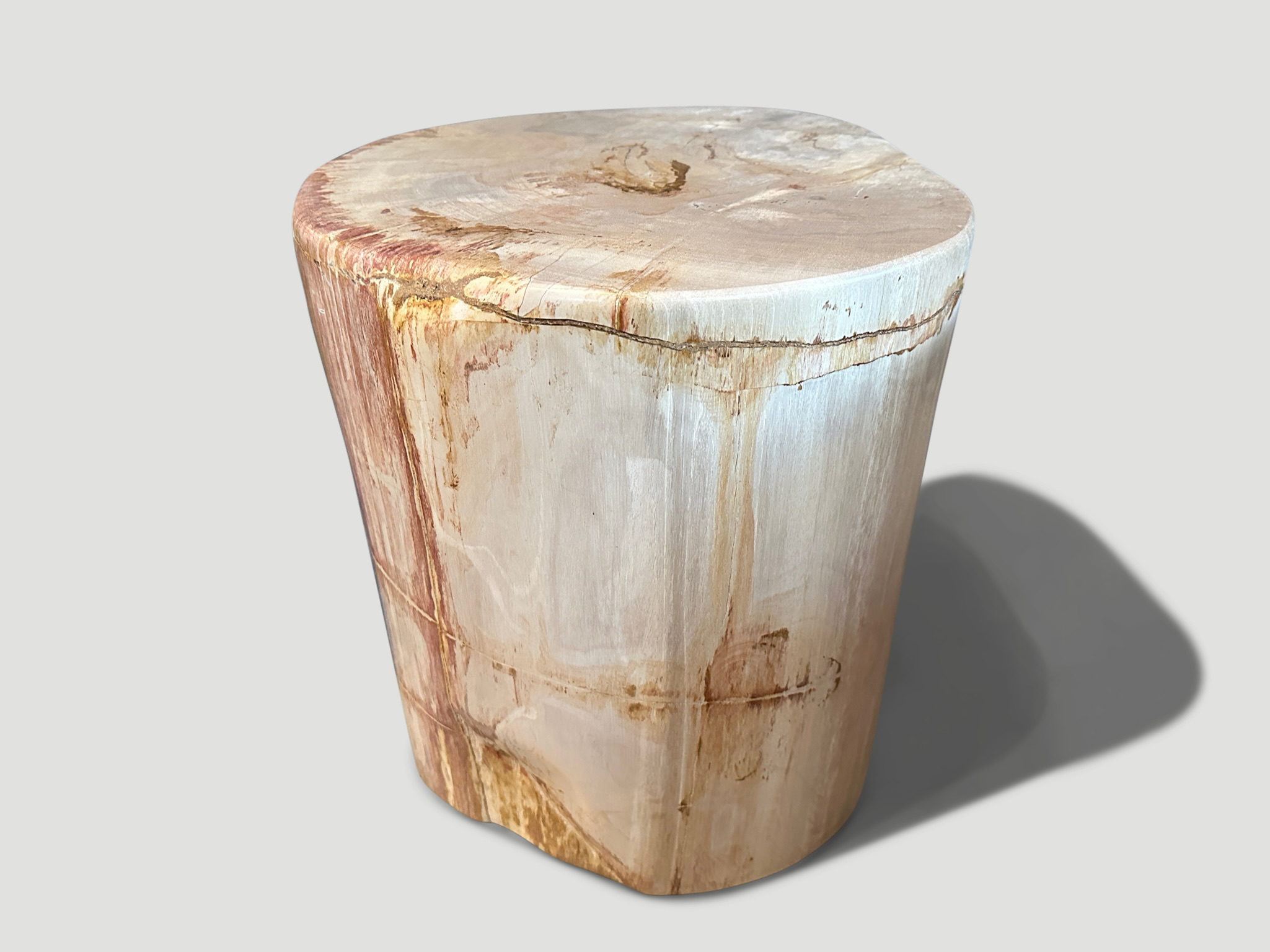 CORAL AND BEIGE PETRIFIED WOOD SIDE TABLE