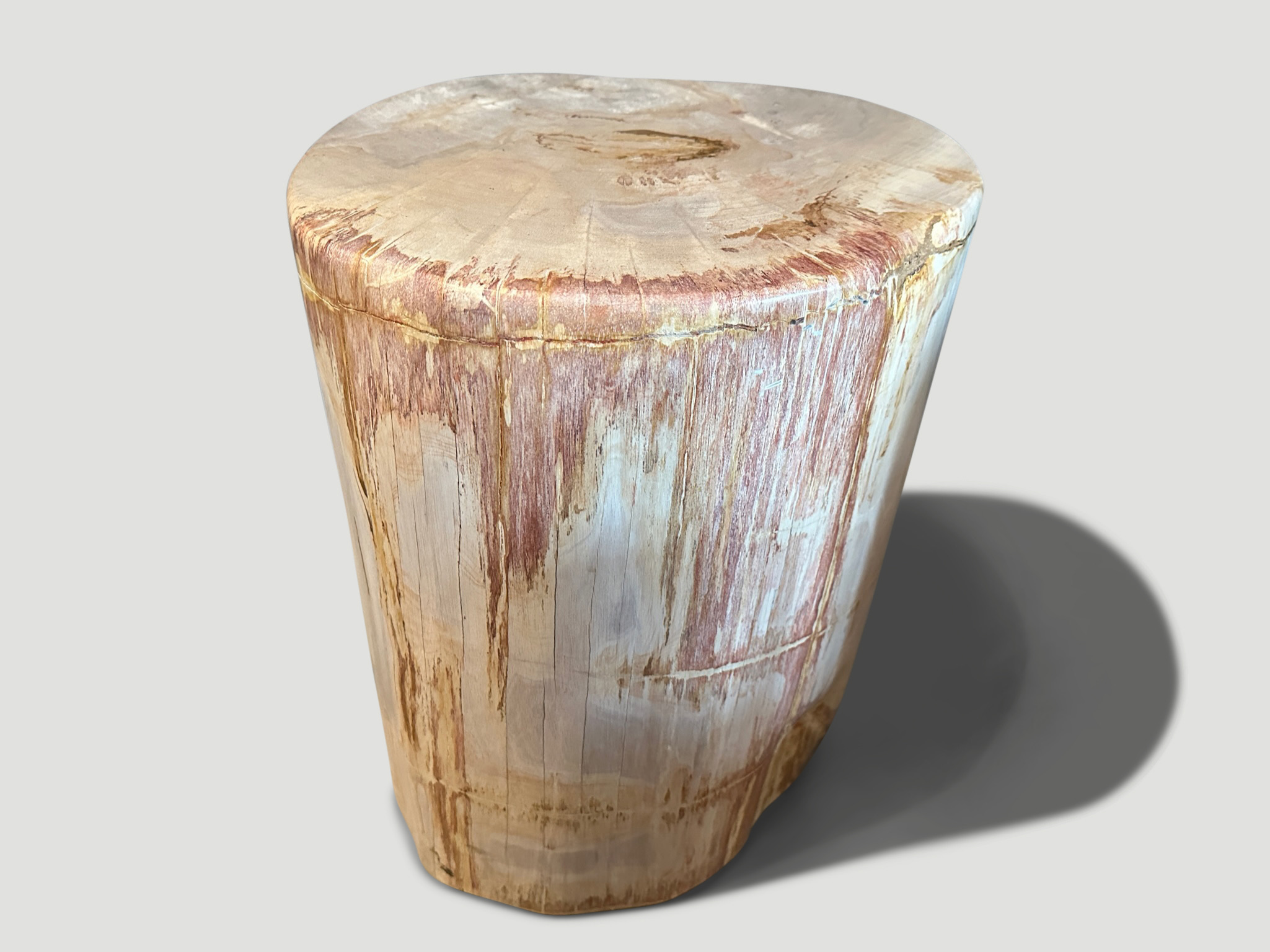 CORAL AND BEIGE PETRIFIED WOOD SIDE TABLE