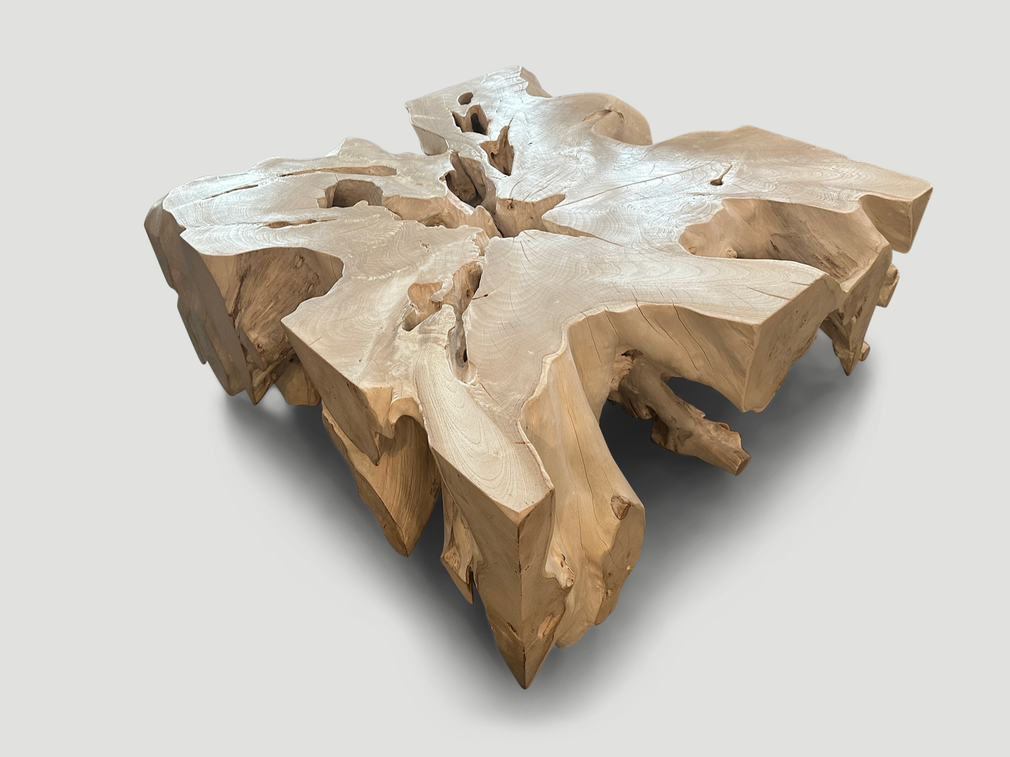 bleached teak root coffee table