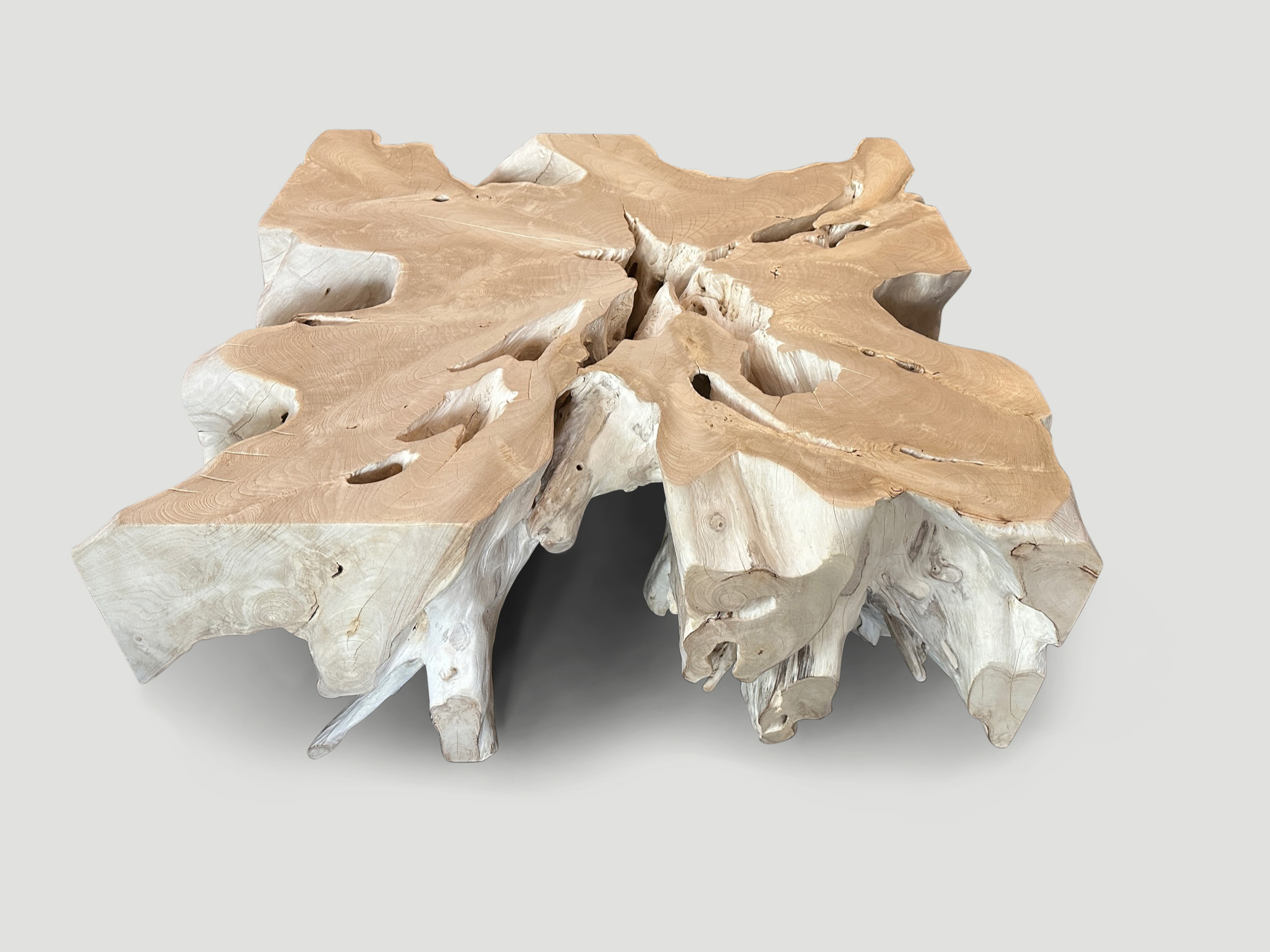 bleached teak root coffee table