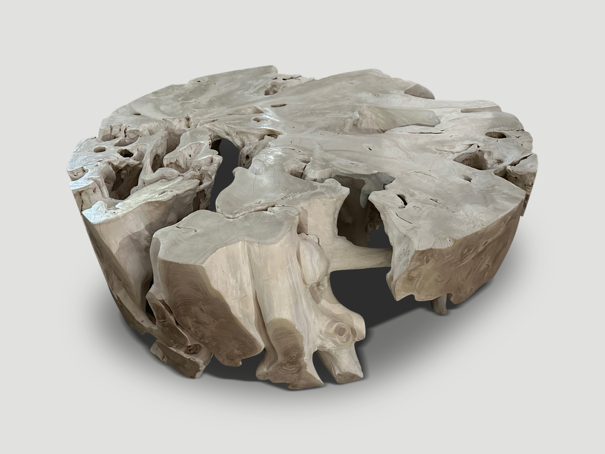 impressive bleached teak root coffee table