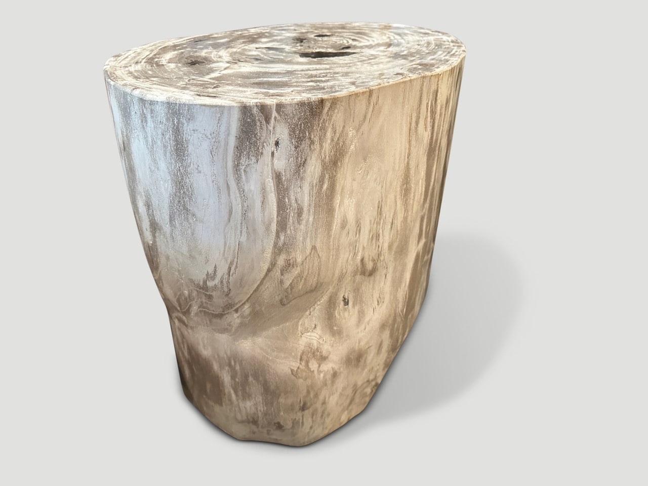 minimalist high quality petrified wood side table
