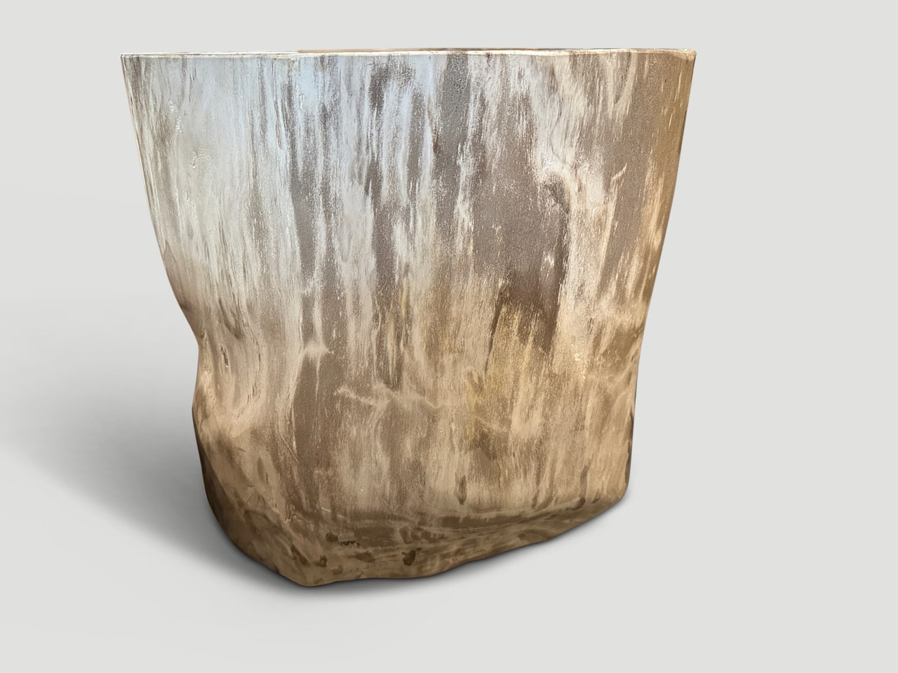 minimalist high quality petrified wood side table