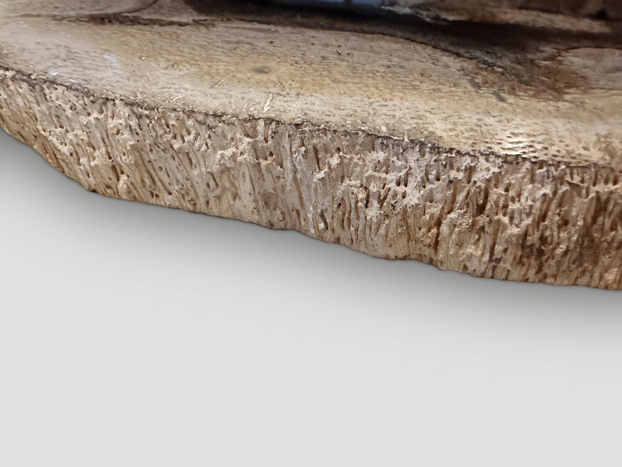 petrified wood slab