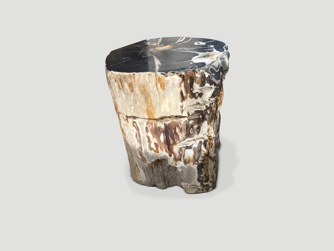 petrified wood side table