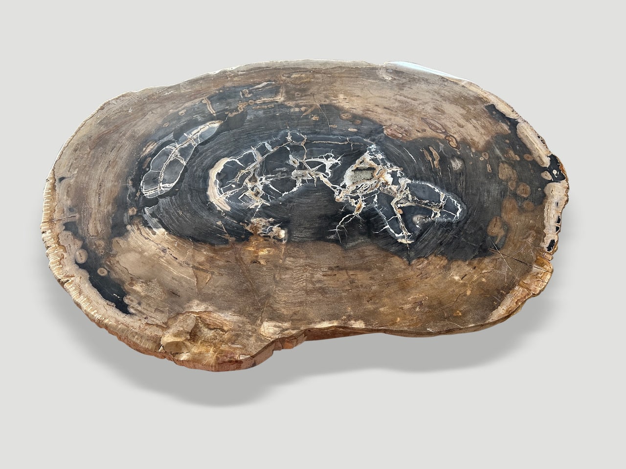 high quality petrified wood slab coffee table