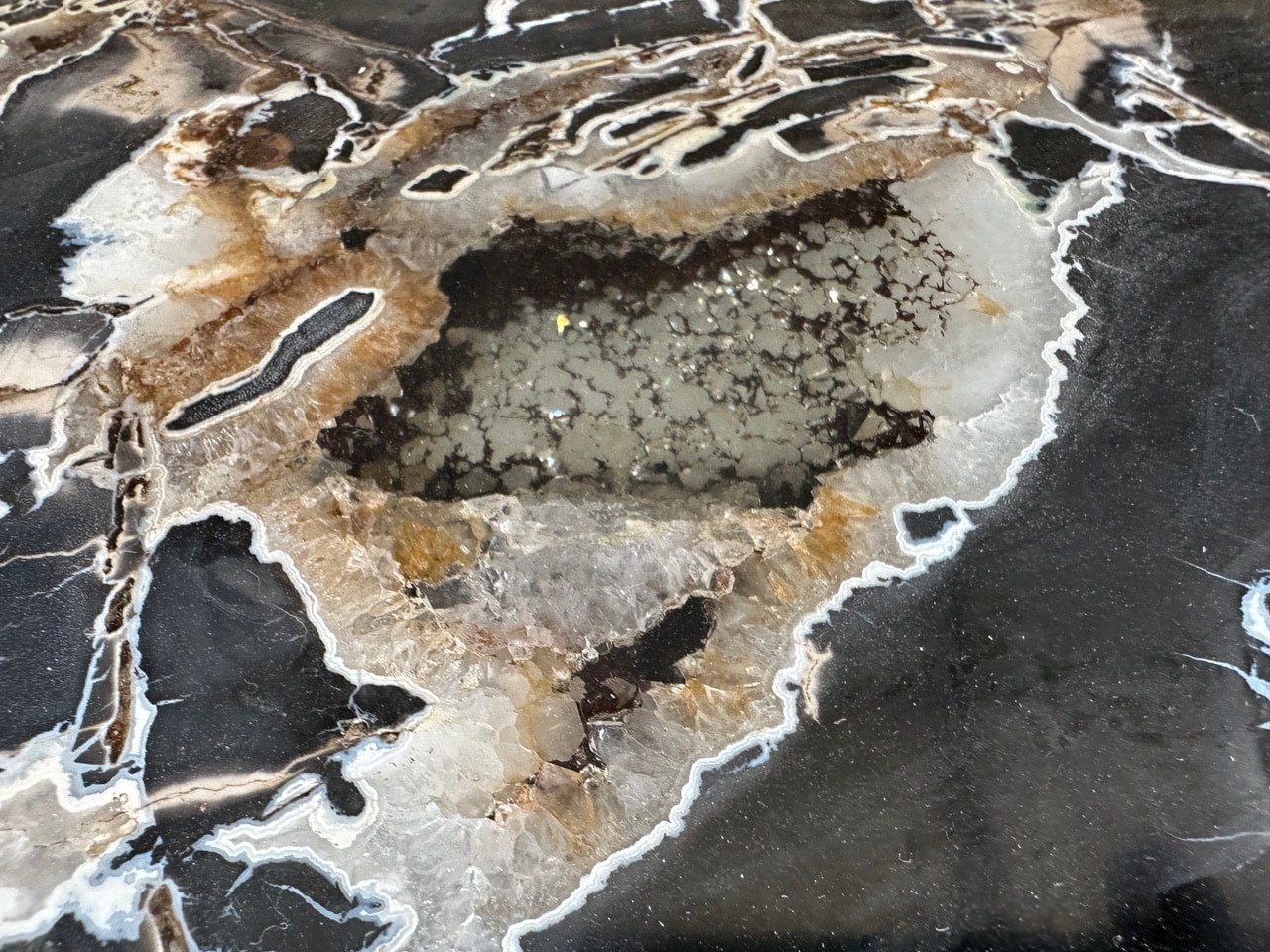 high quality petrified wood slab coffee table
