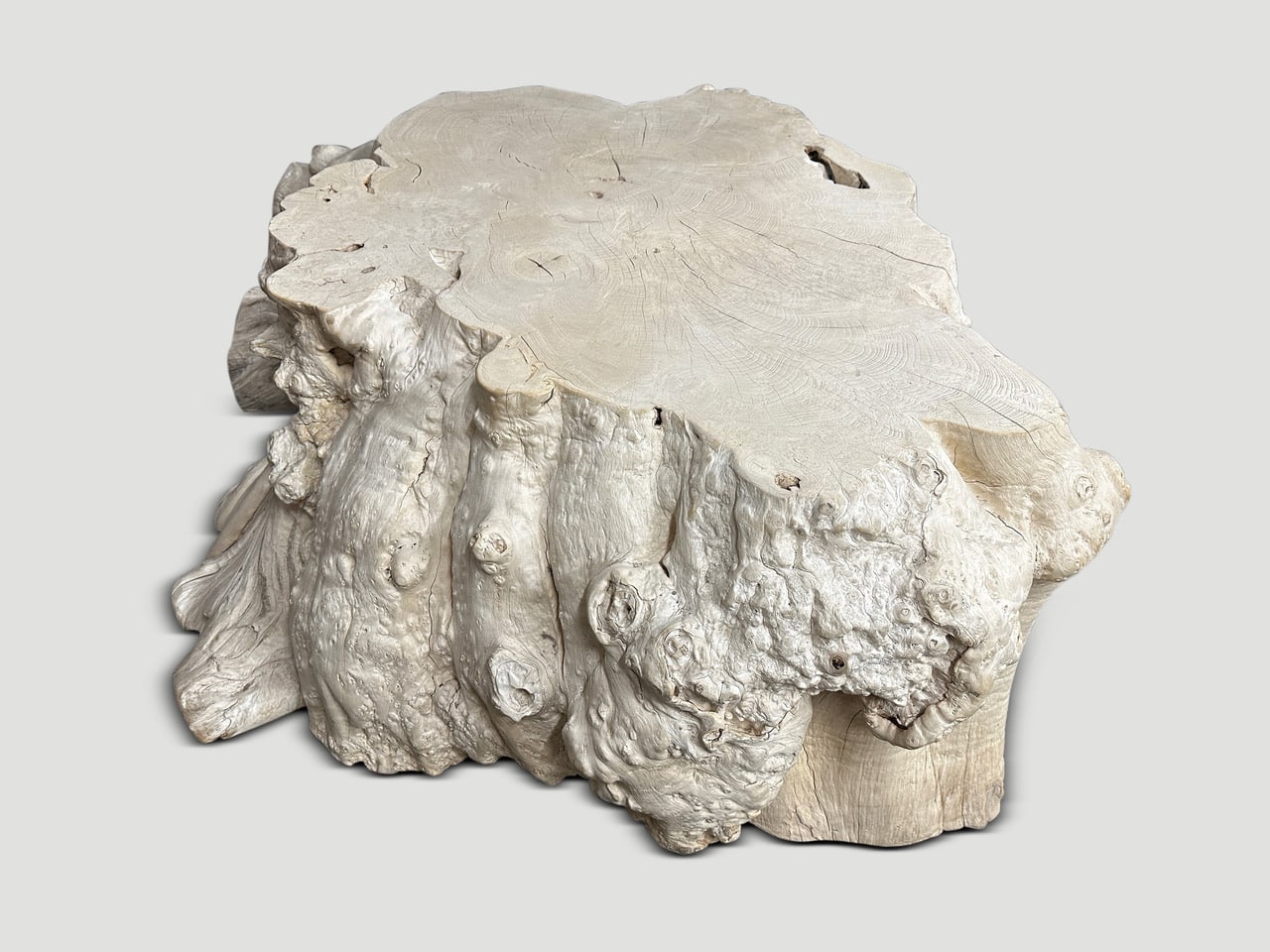 rare bleached teak root coffee table