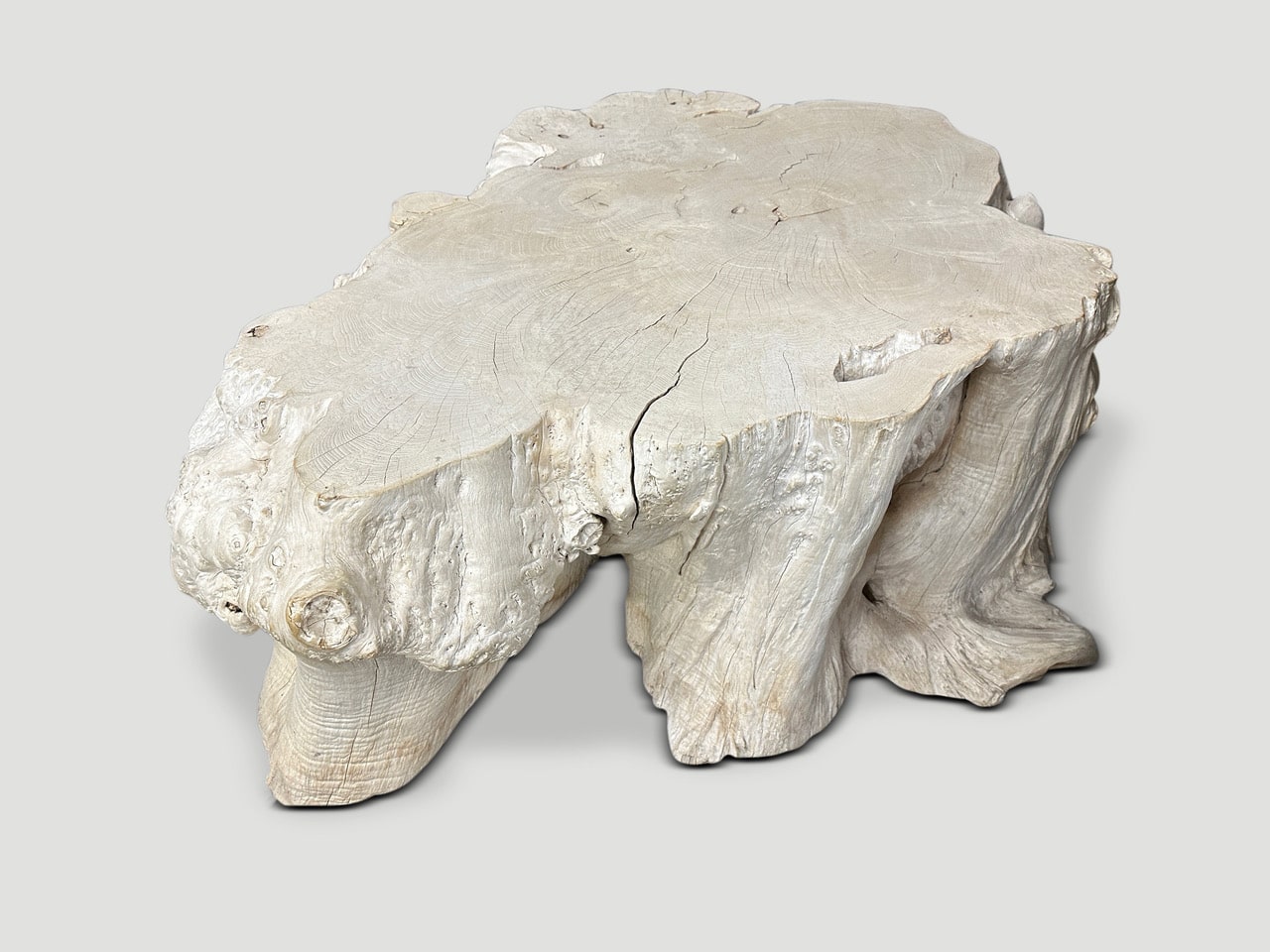 rare bleached teak root coffee table