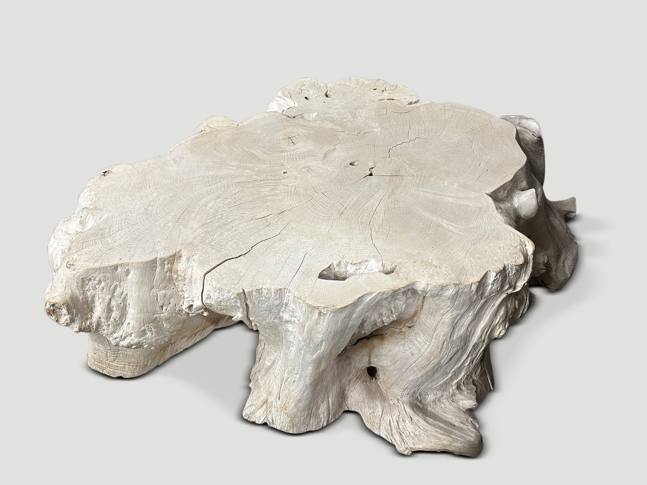 rare bleached teak root coffee table