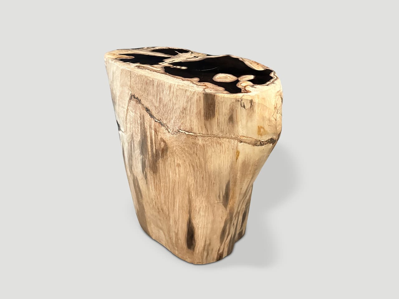 petrified wood side table