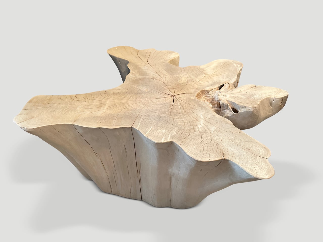 amorphous bleached teak wood coffee table