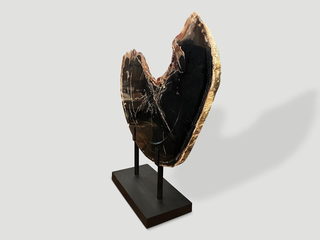 PETRIFIED WOOD SCULPTURE OR COFFEE TABLE