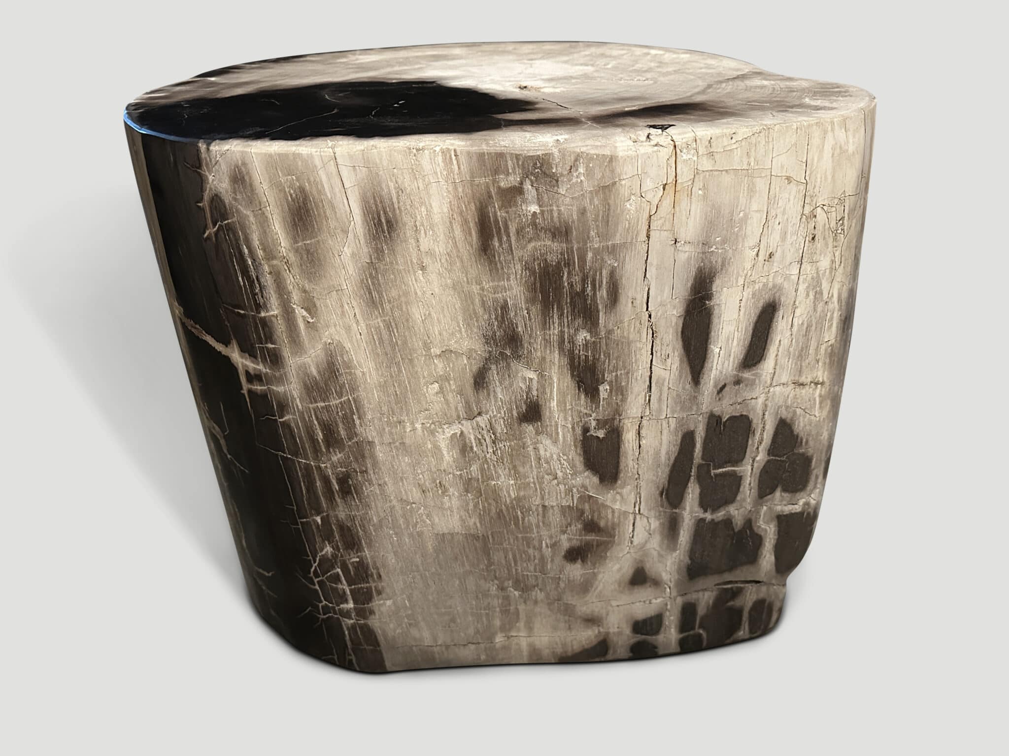 high quality petrified wood ancient side table