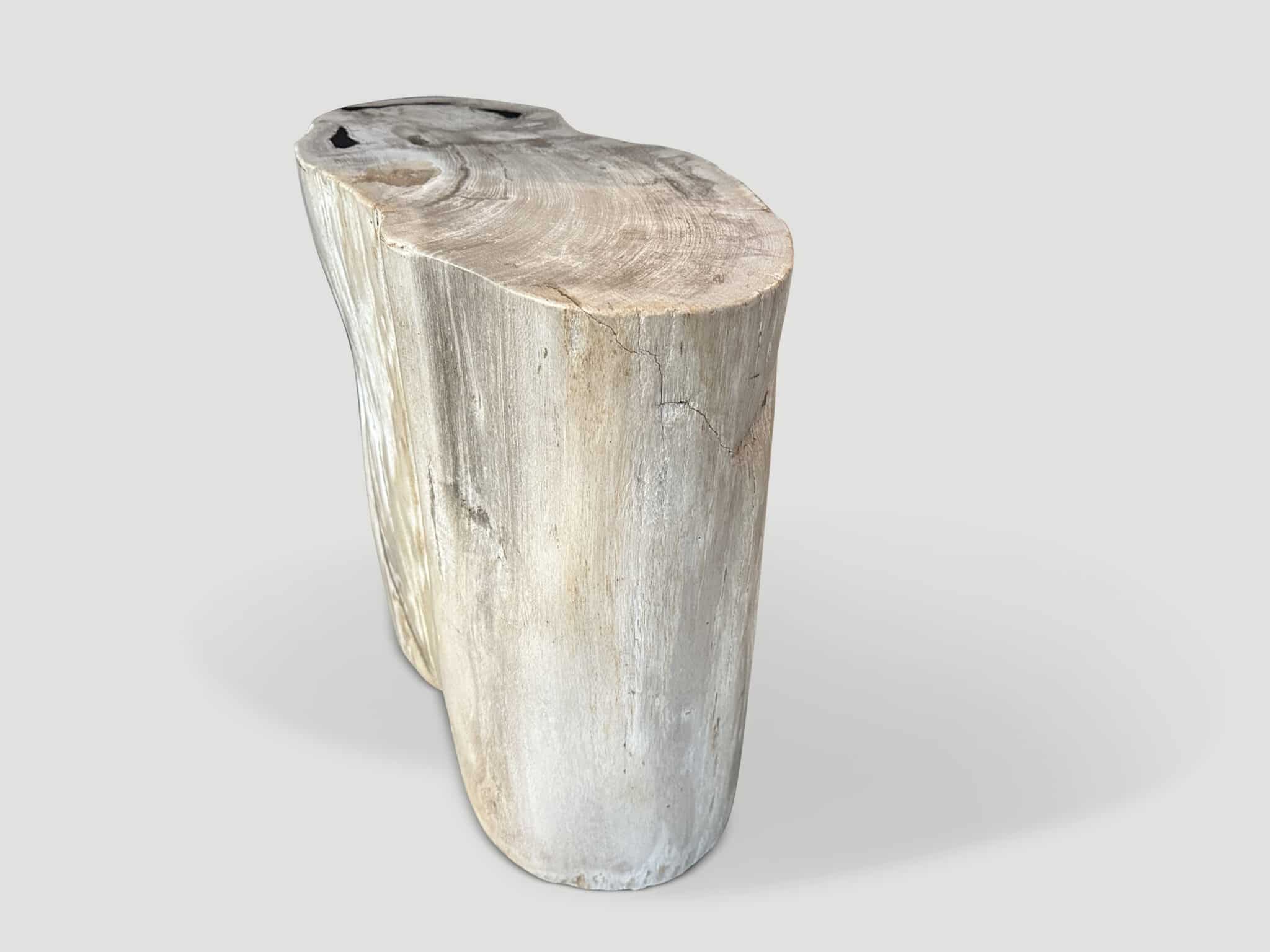 high quality petrified wood side table