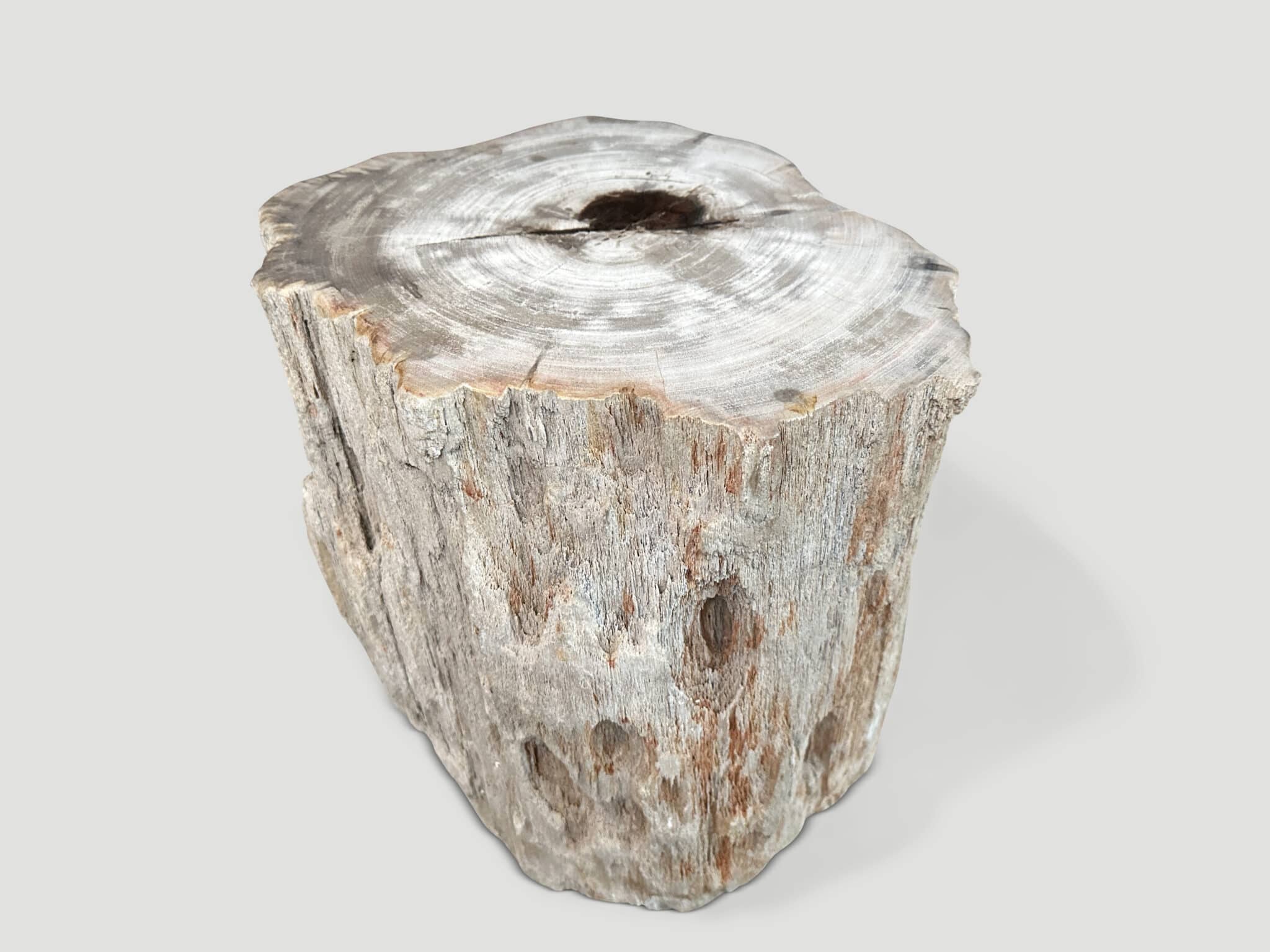 HIGH QUALITY PETRIFIED WOOD AND RESIN SIDE TABLE
