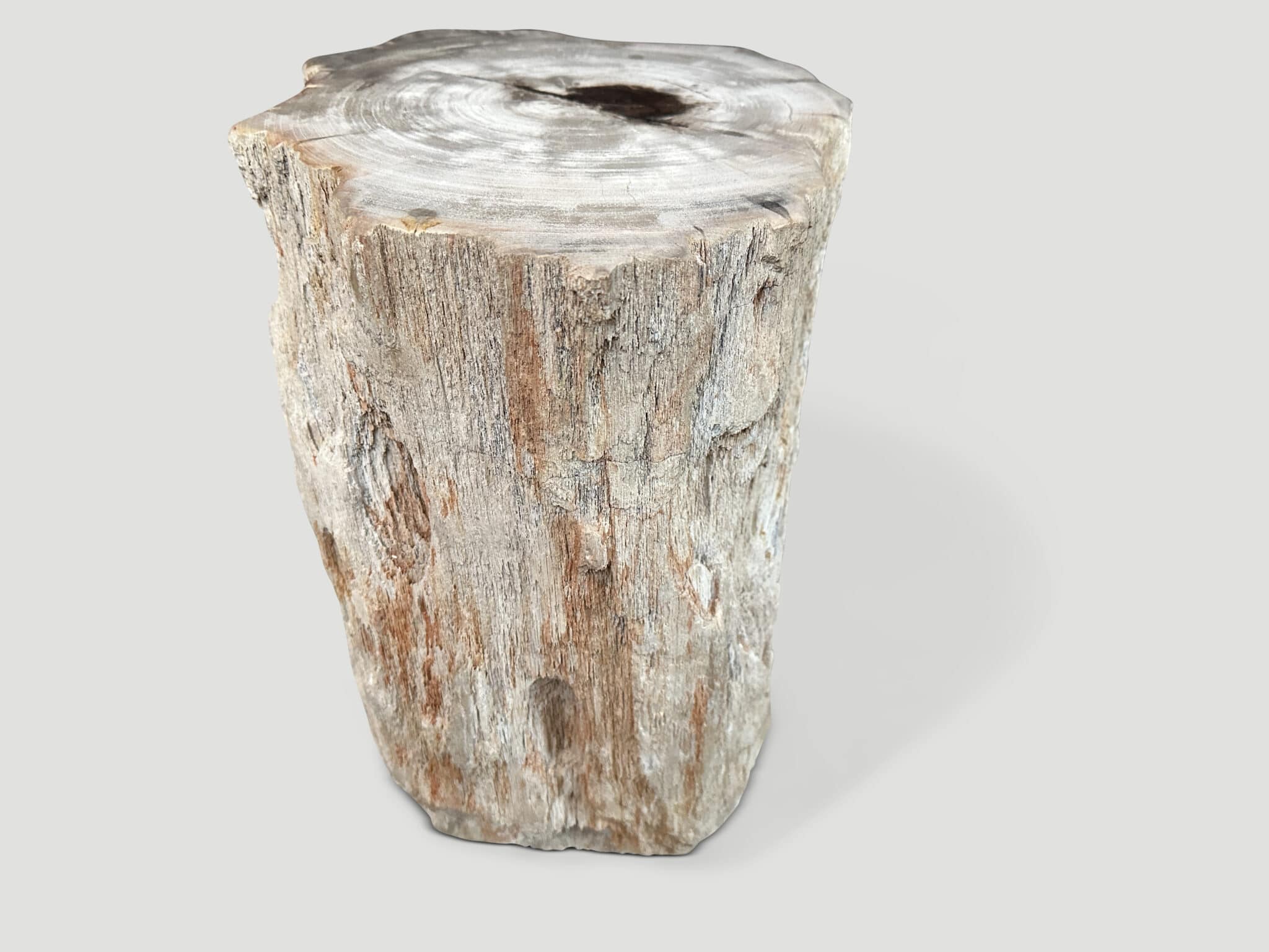 HIGH QUALITY PETRIFIED WOOD AND RESIN SIDE TABLE