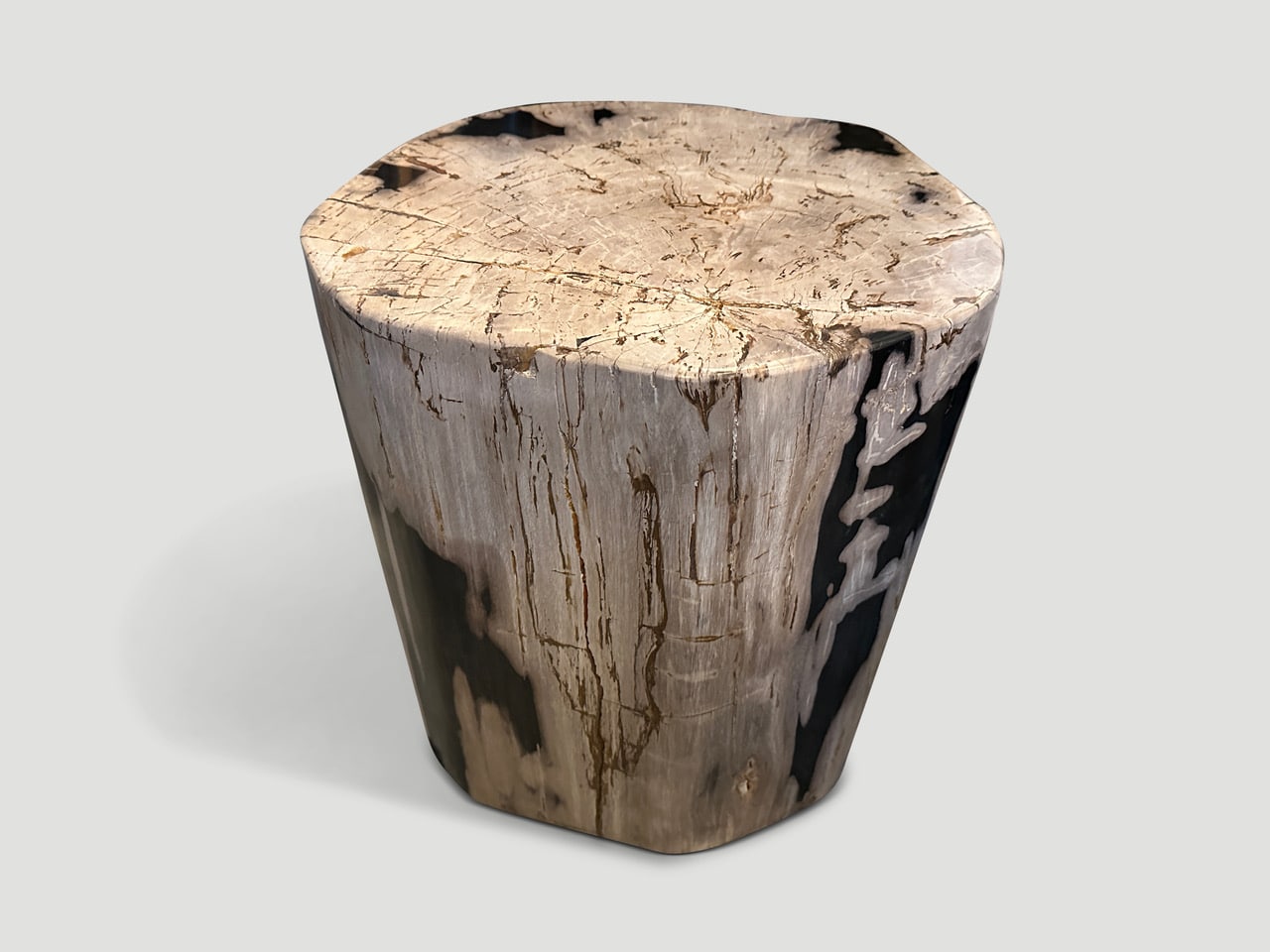 petrified wood side table