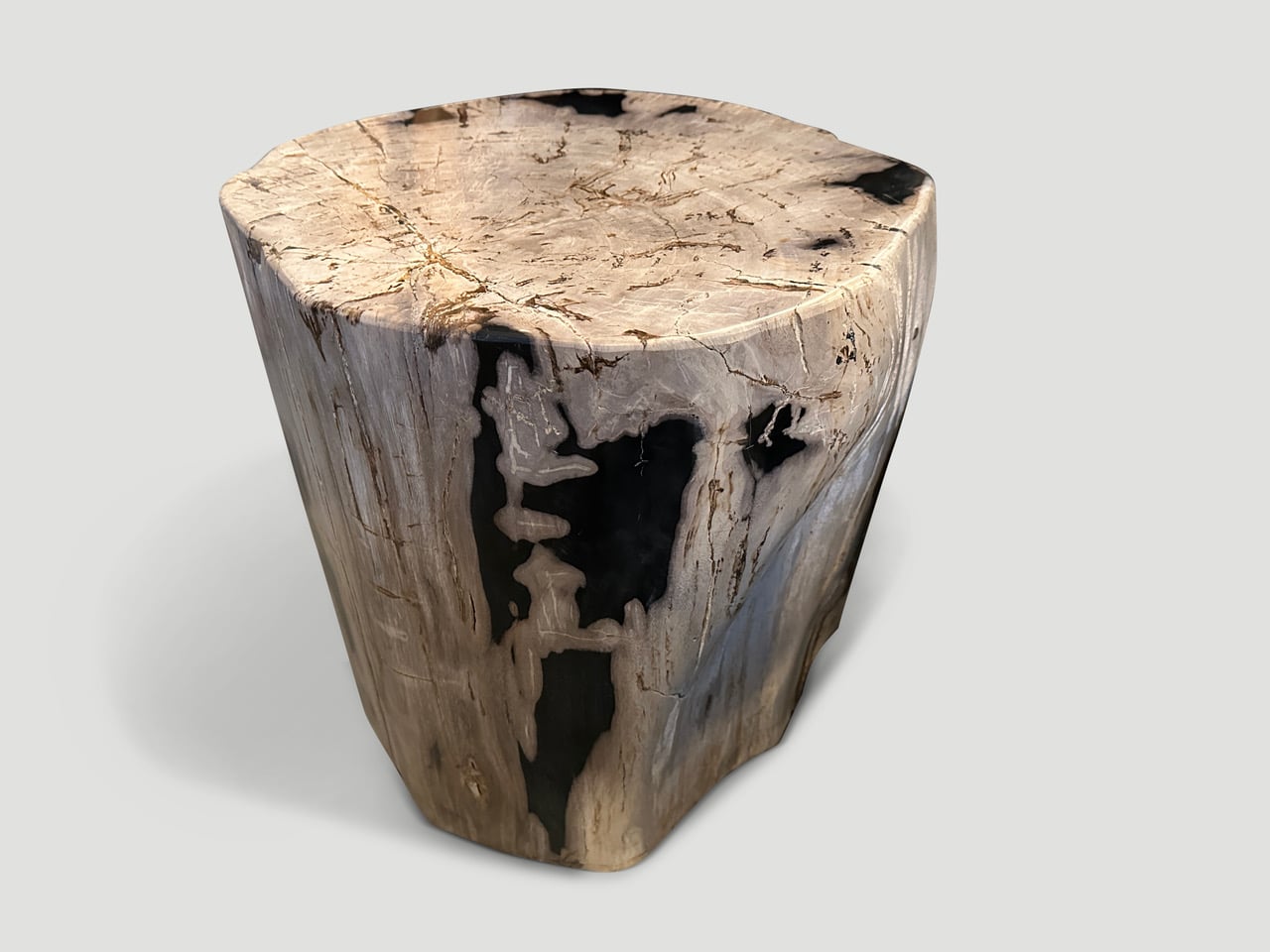 petrified wood side table