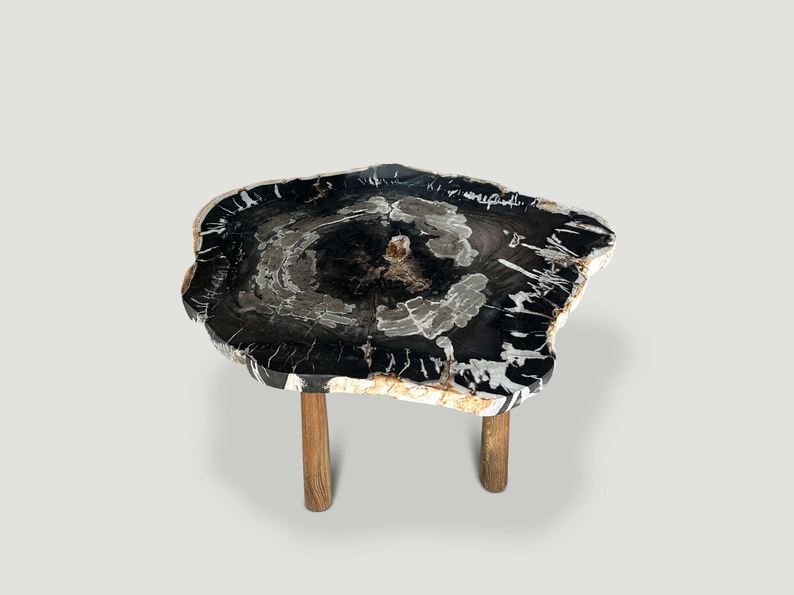 live edge petrified wood slab coffee table or side table