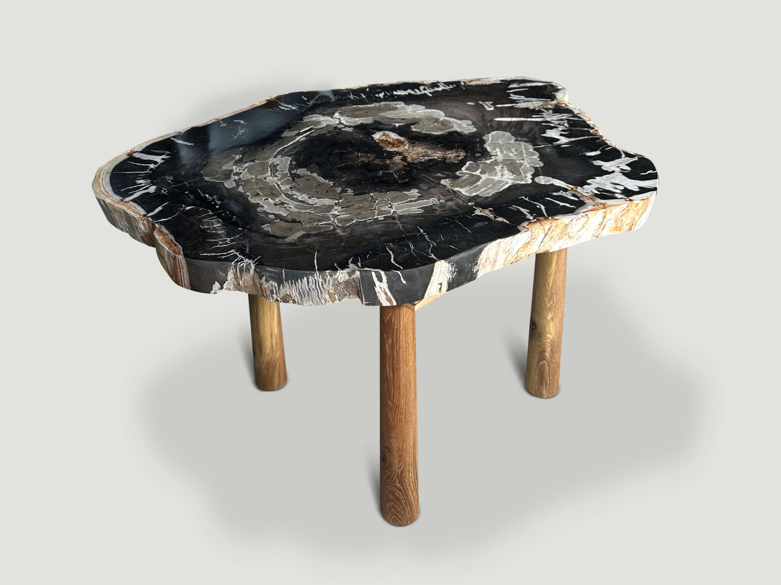 live edge petrified wood slab coffee table or side table