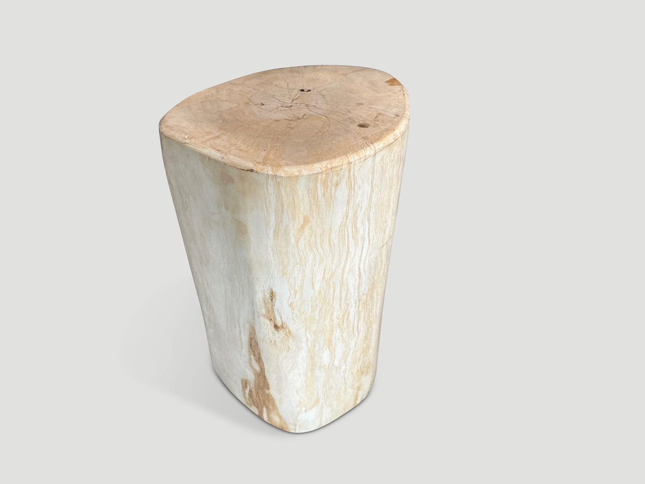 petrified wood side table