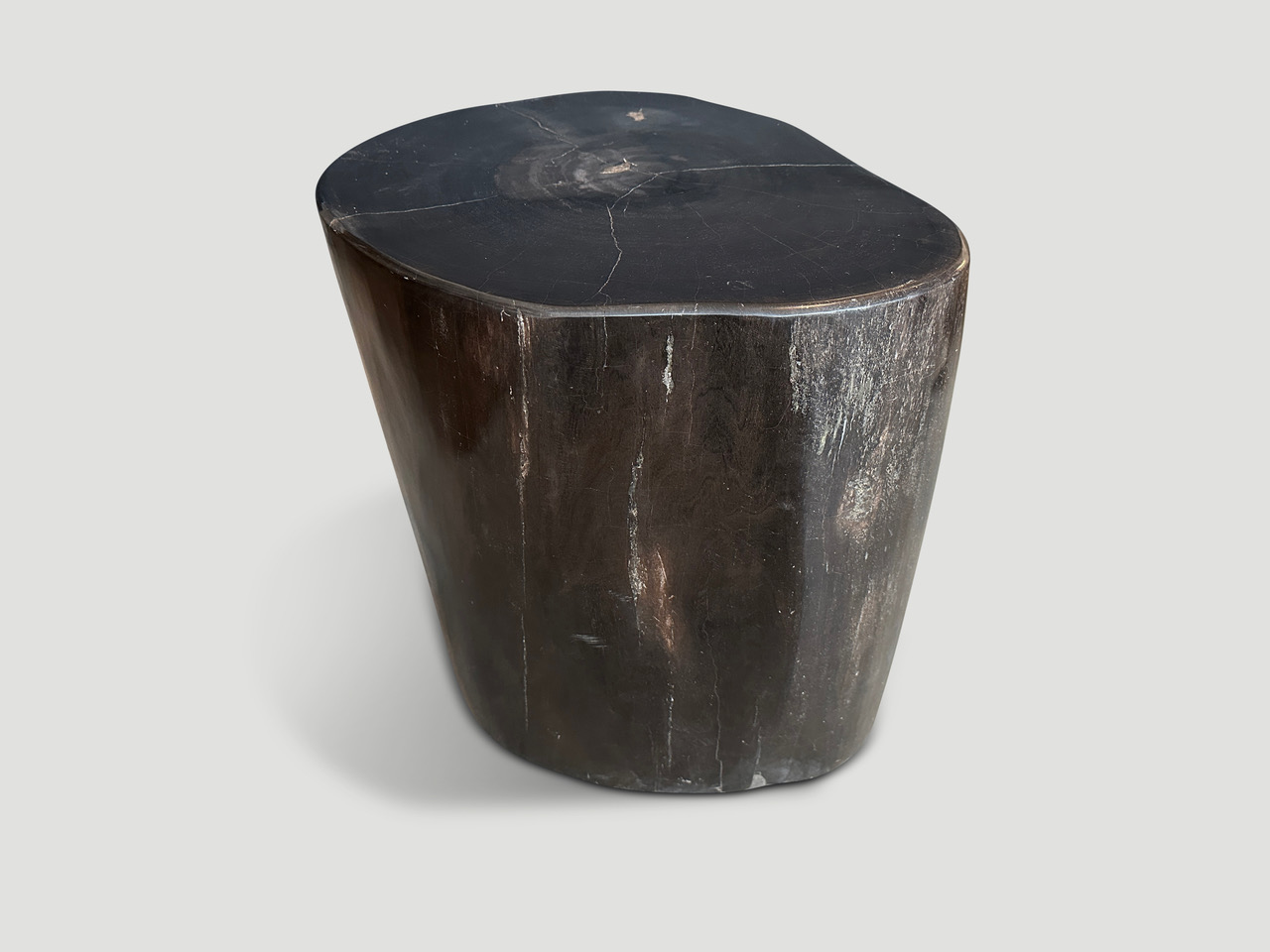 high quality super smooth petrified wood side table