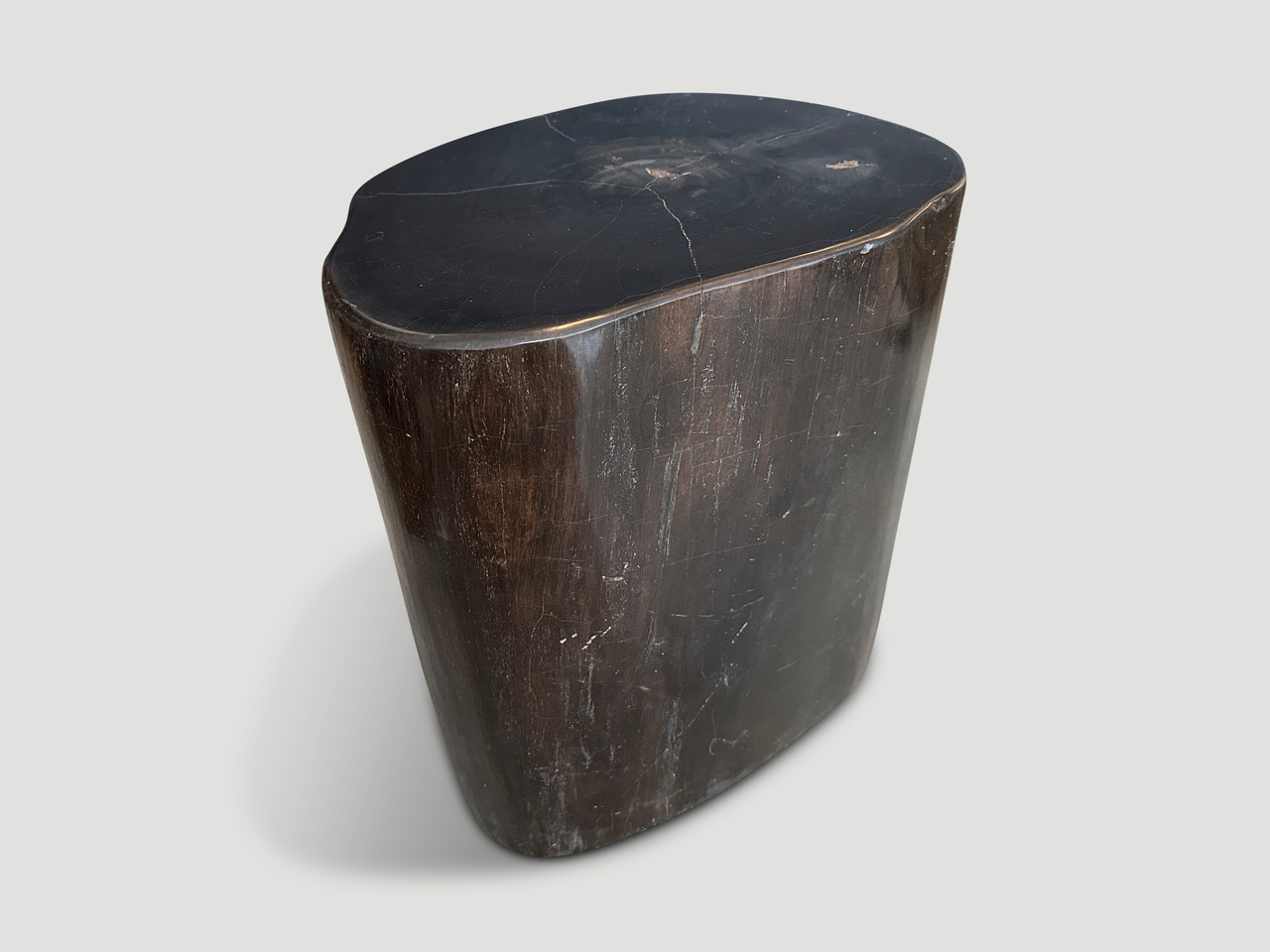 high quality super smooth petrified wood side table