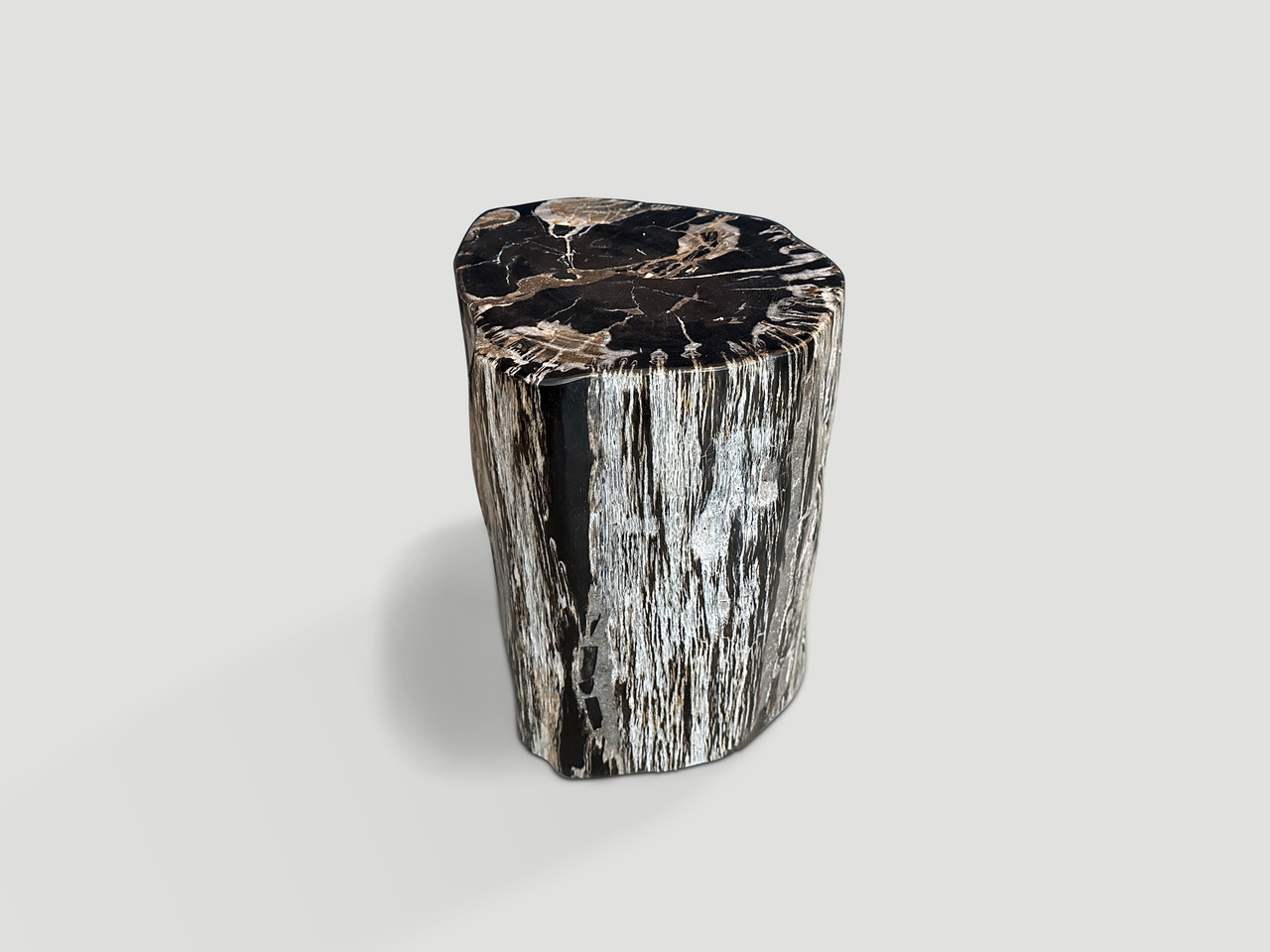 petrified wood side table