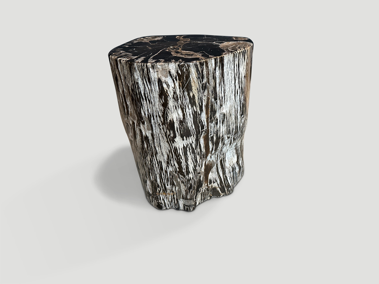 petrified wood side table