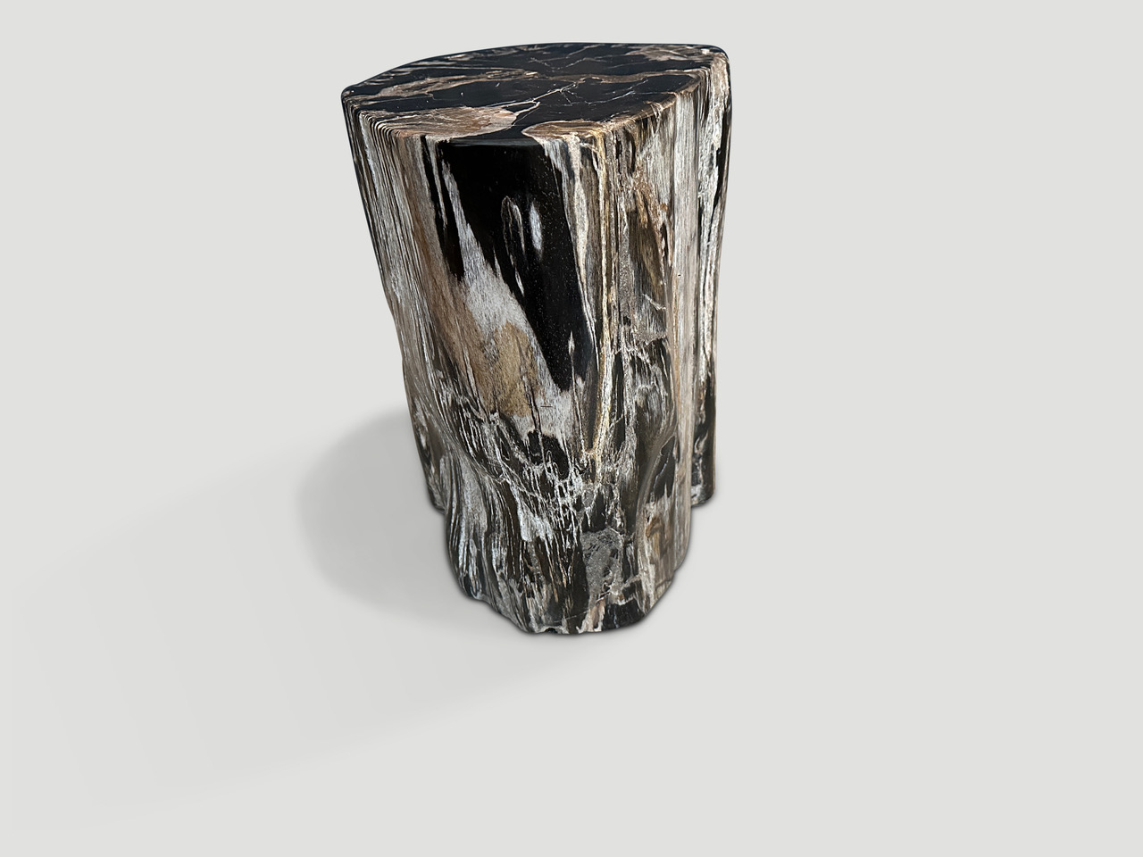 petrified wood side table