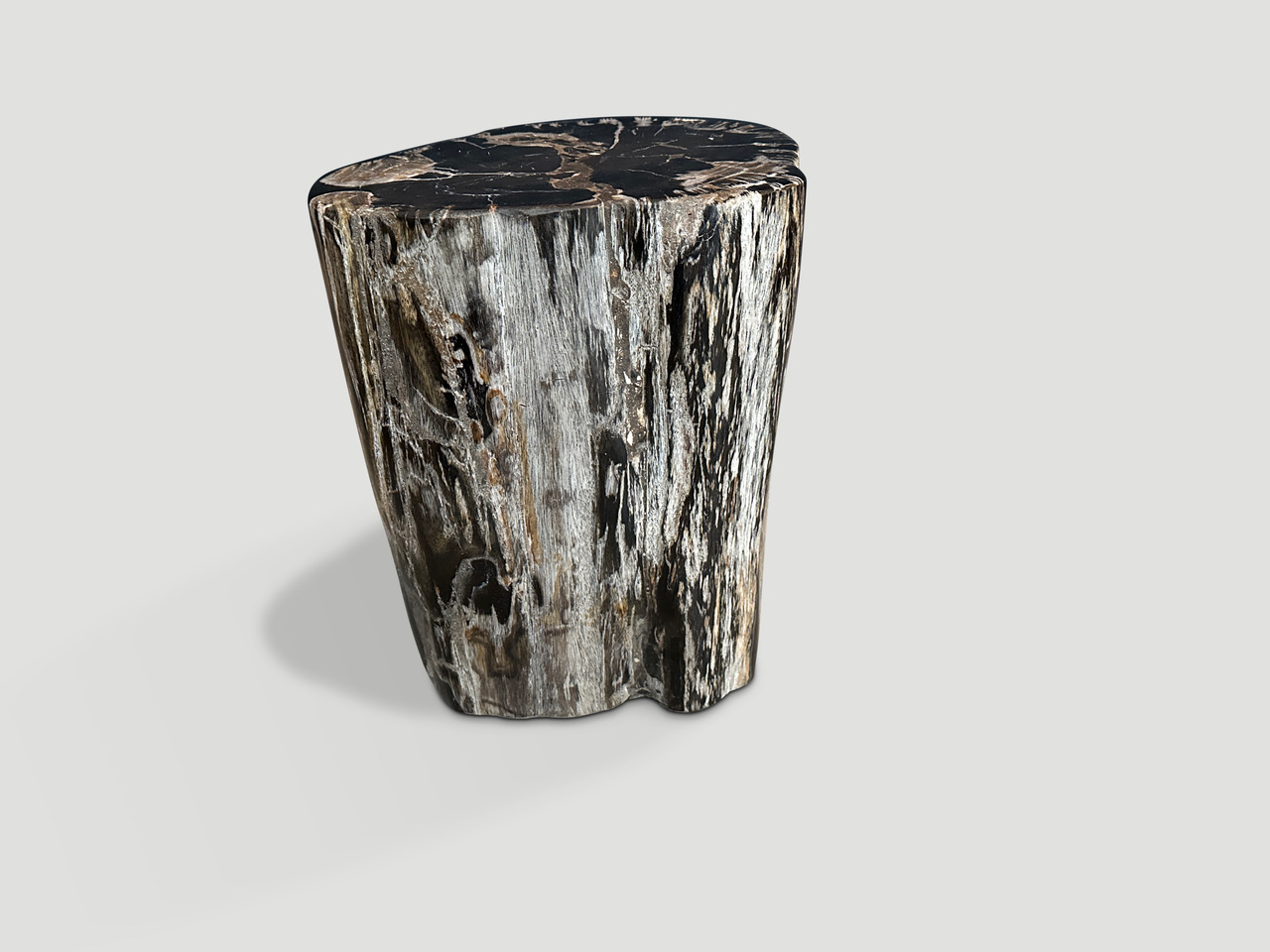 petrified wood side table