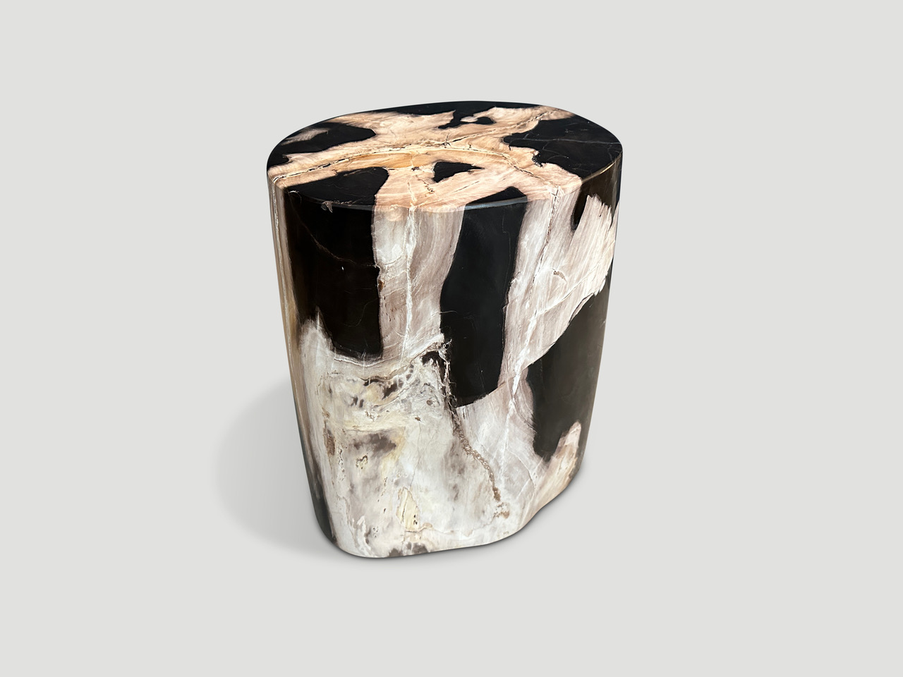 petrified wood side table