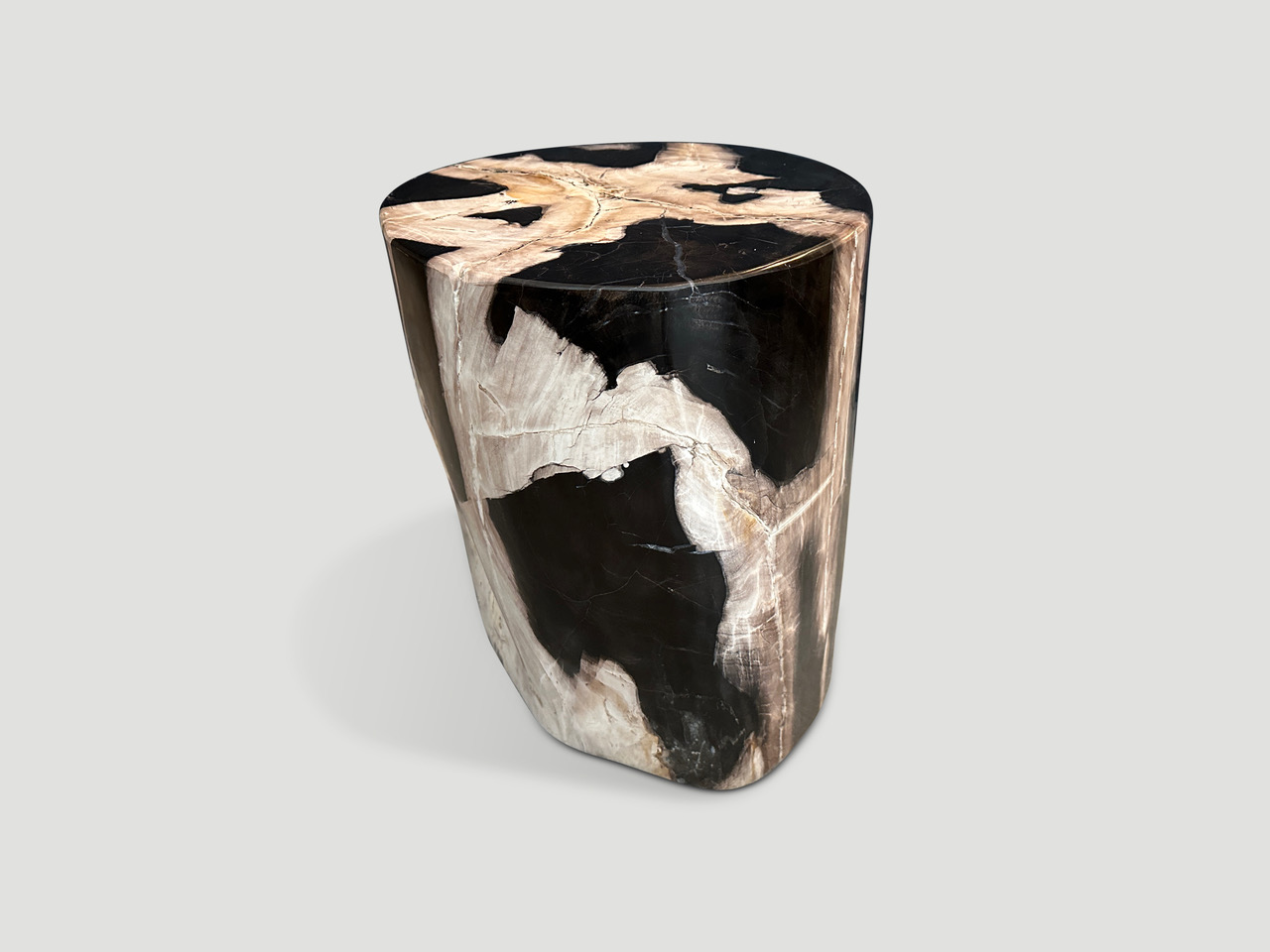 petrified wood side table