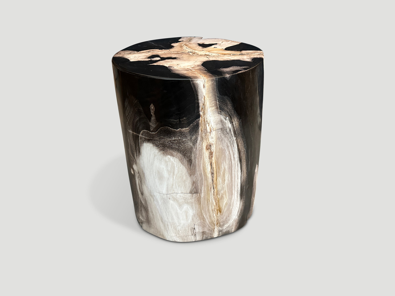 petrified wood side table