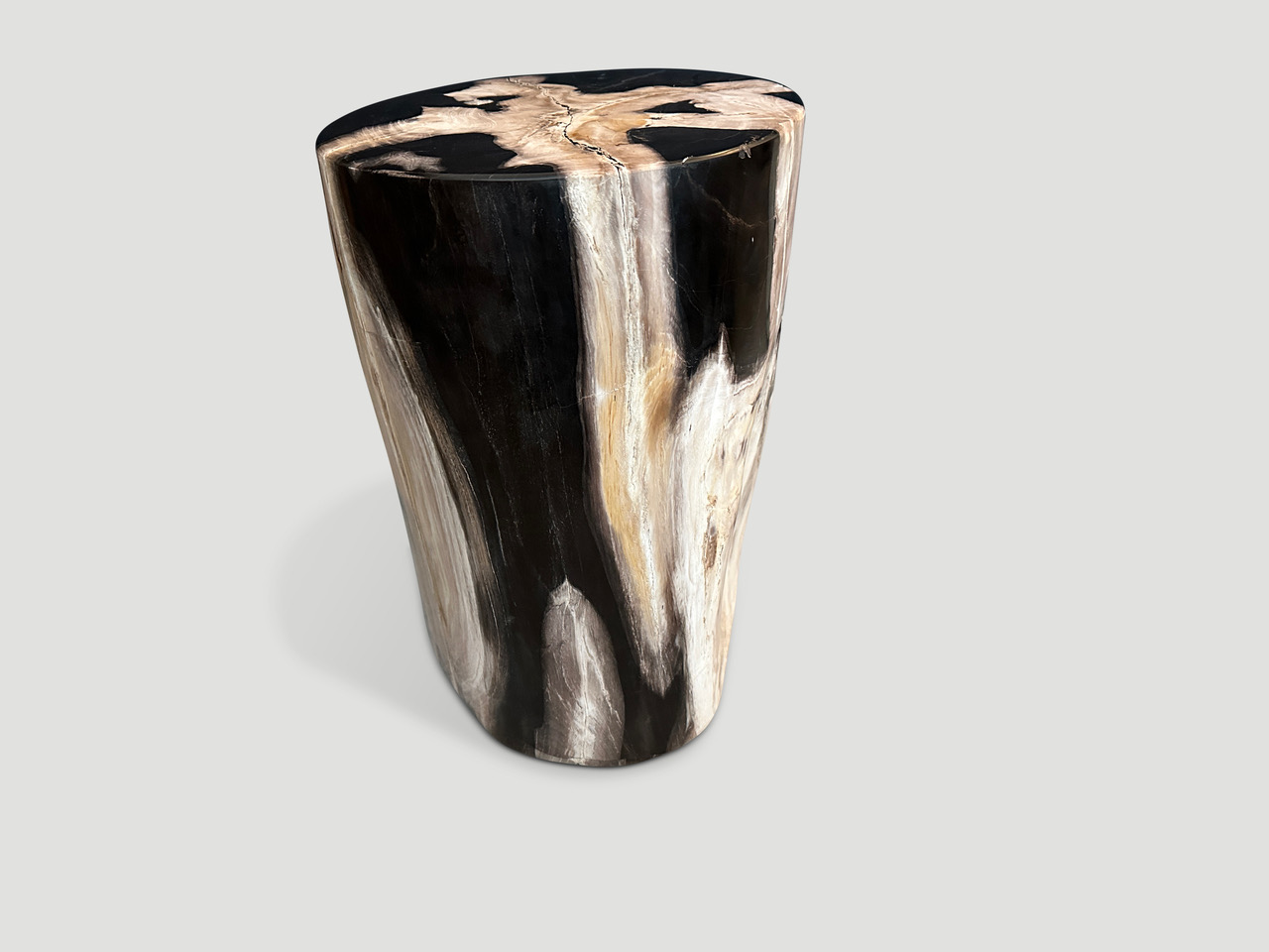 petrified wood side table