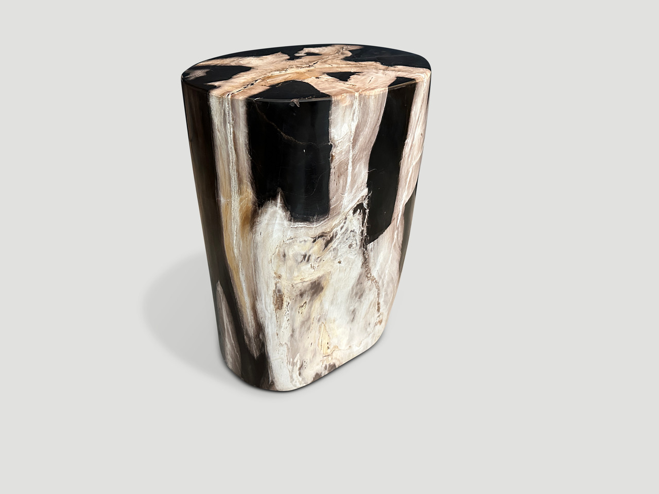 petrified wood side table