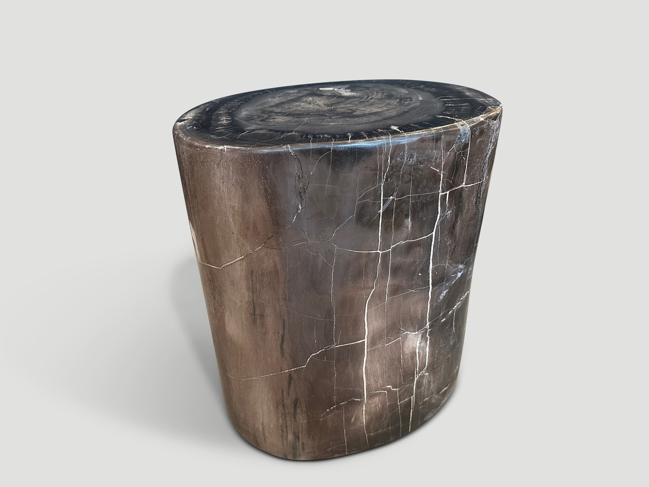 high quality petrified wood side table