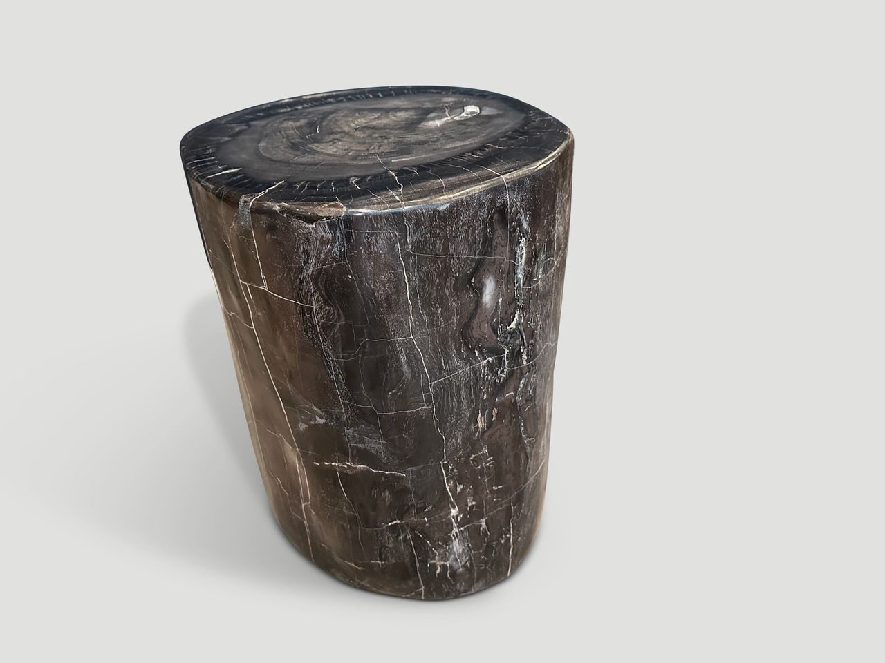 high quality petrified wood side table