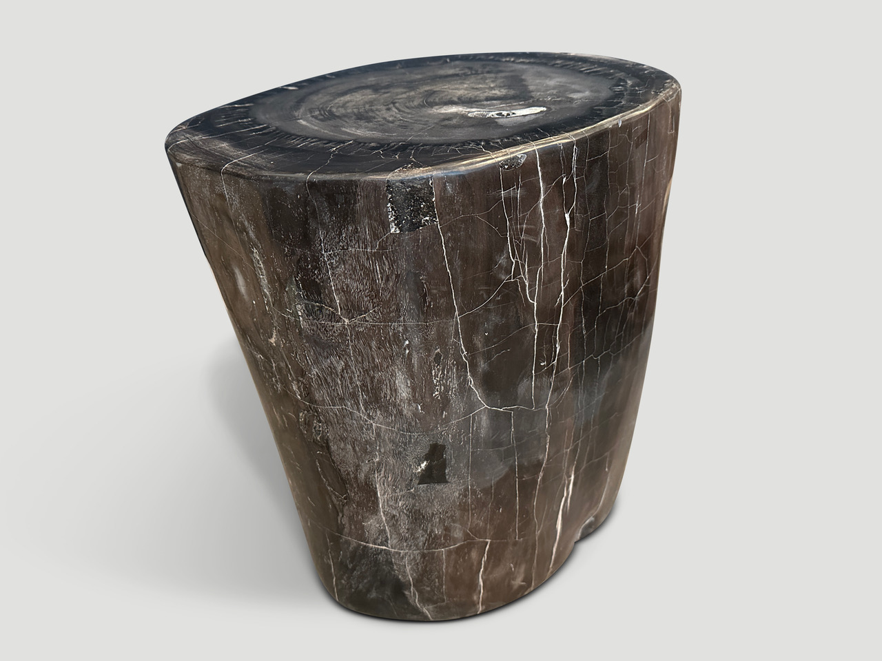 high quality petrified wood side table