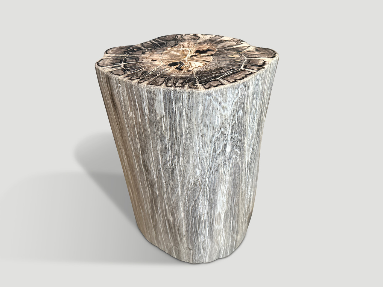 impressive high quality petrified wood side table