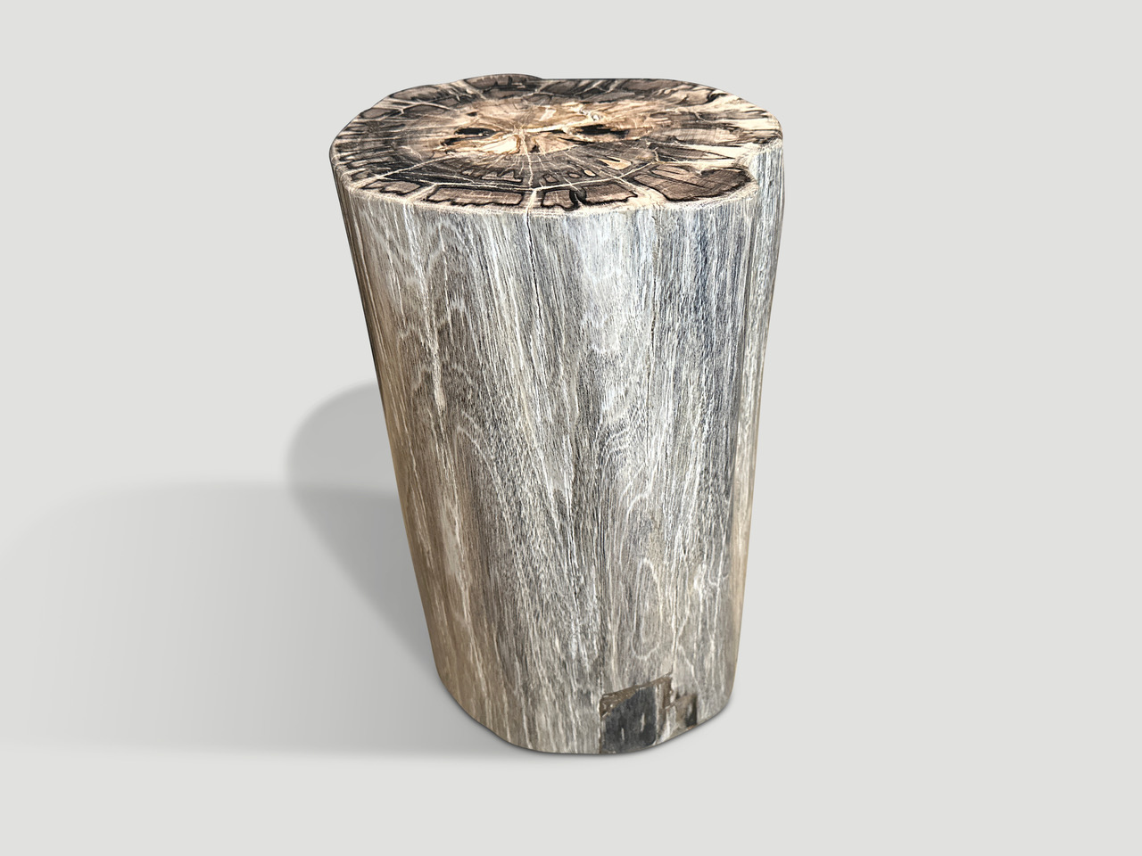 impressive high quality petrified wood side table